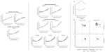 Nonlinear relations between achievement and academic self-concepts in elementary and secondary school: An integrative data analysis across 13 countries